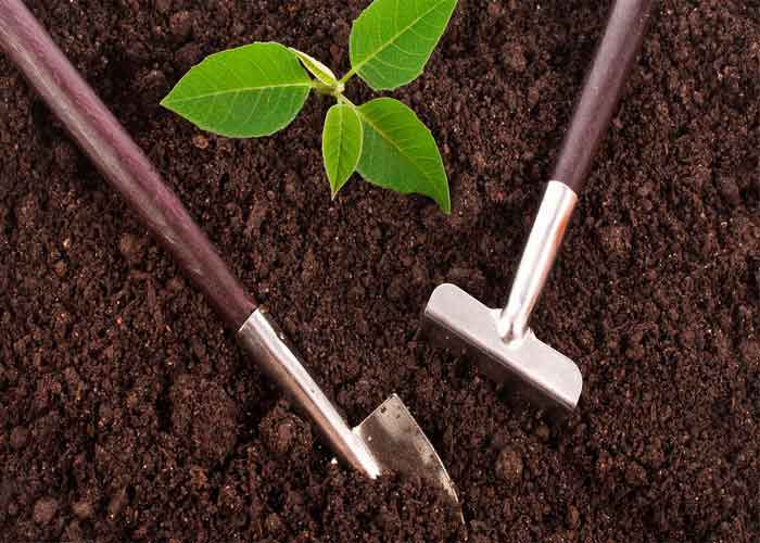 خاک حاصلخیز